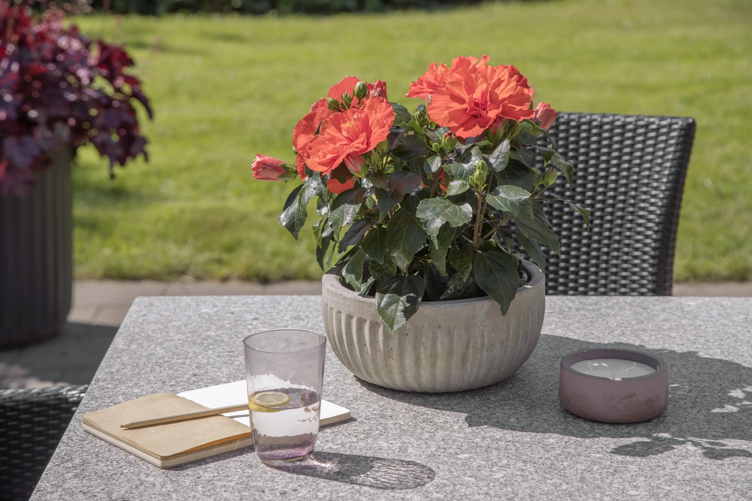 HibisQs® Care — Graff-Breeding A/S